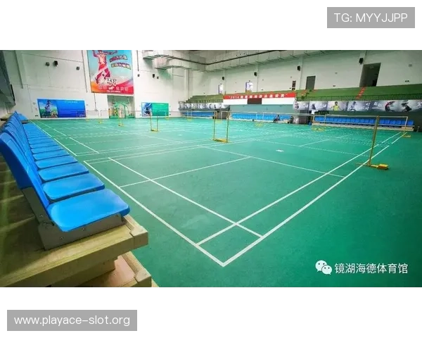 海德体育助力全民健身打造专业运动品牌 引领行业创新与发展