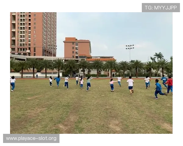 以T8体育为核心打造全新数字体育生态服务平台发展战略解析