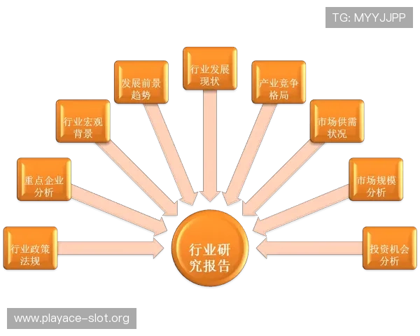 以新利体育为中心的全面解析及其发展现状与行业影响研究深度报告