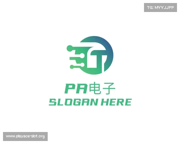 介绍PA电子